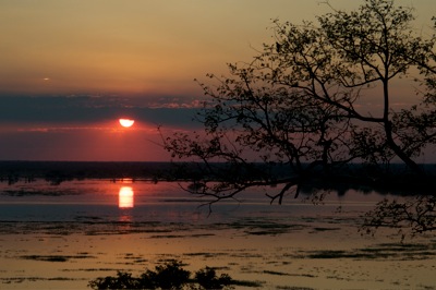 GEO_0024.sunset.reflect.tree